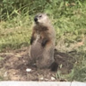 Meet your Posher, Ed